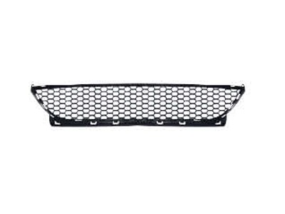 bumper grille 2008 MCV