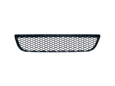 bumper grille 2006 MCV
